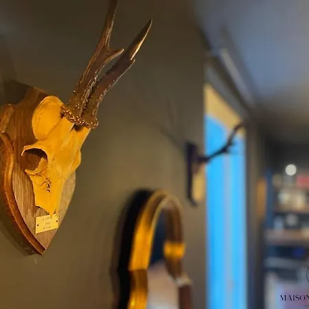 Grande Maison Au Coeur Du Carre - Quartier Festif! Tatil Evi *