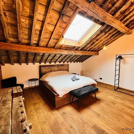 Grande Maison Au Coeur Du Carre - Quartier Festif! Lüttich