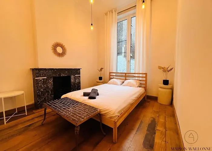 Grande Maison Au Coeur Du Carre - Quartier Festif! לייז'