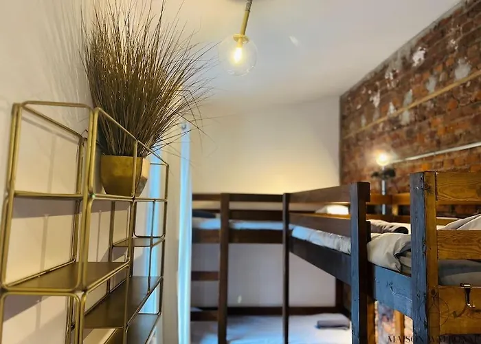 Grande Maison Au Coeur Du Carre - Quartier Festif! לייז'