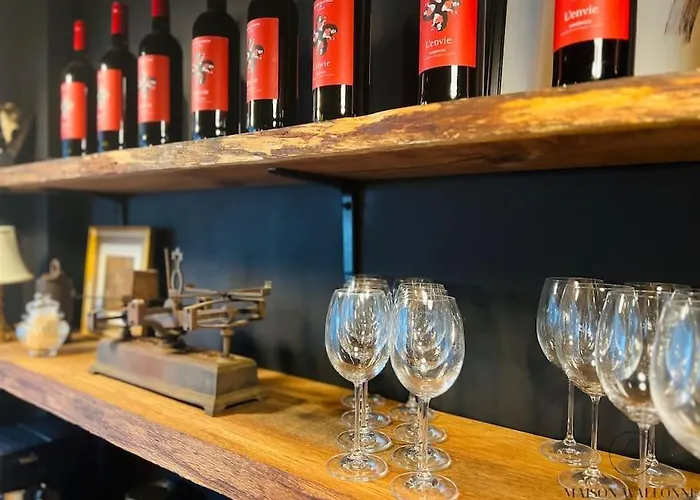 Grande Maison Au Coeur Du Carre - Quartier Festif! לייז'